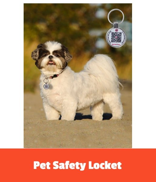 How to Choose the Best Pet Safety Locket for Your Pet